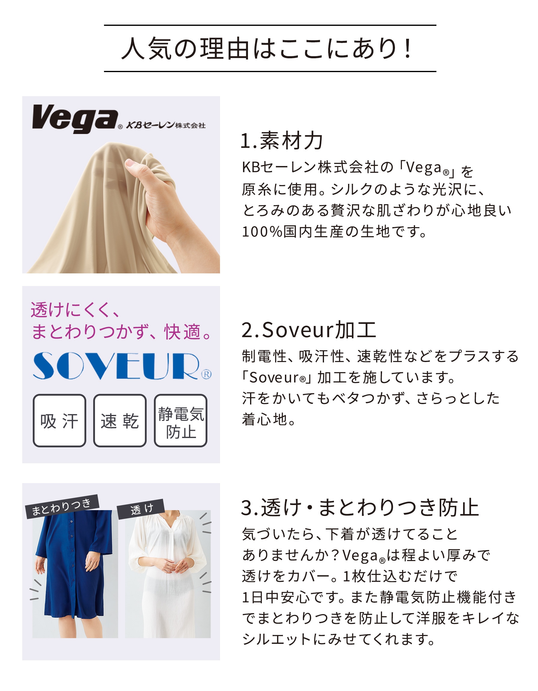vegaのヒミツ