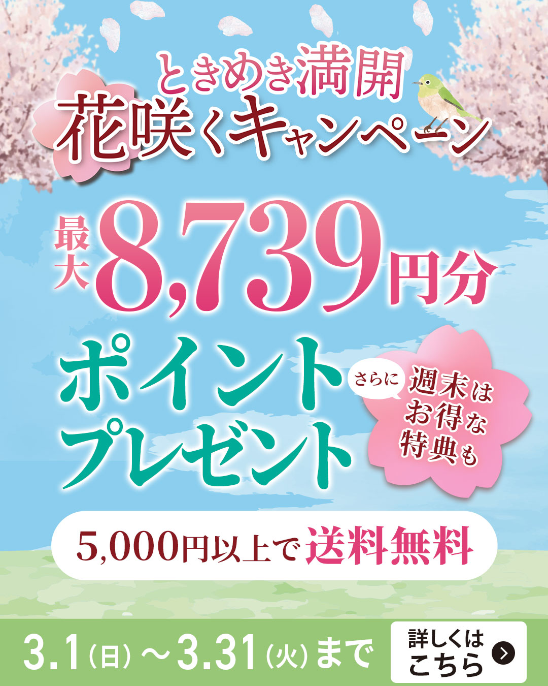 今月のオトクなキャンペーン