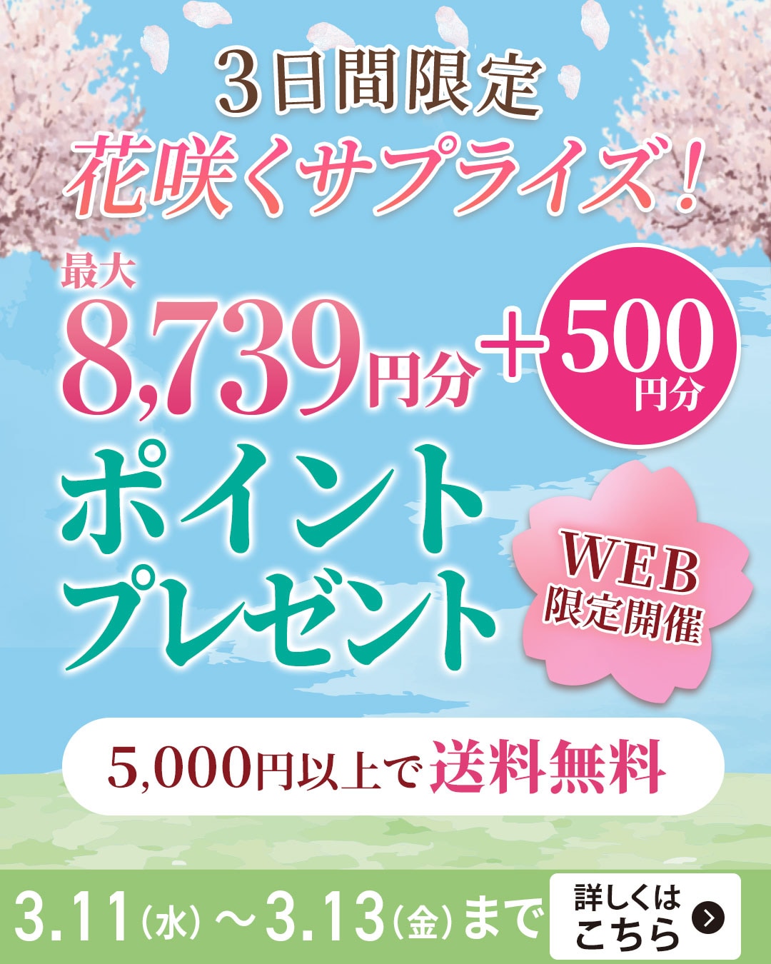 今月のオトクなキャンペーン