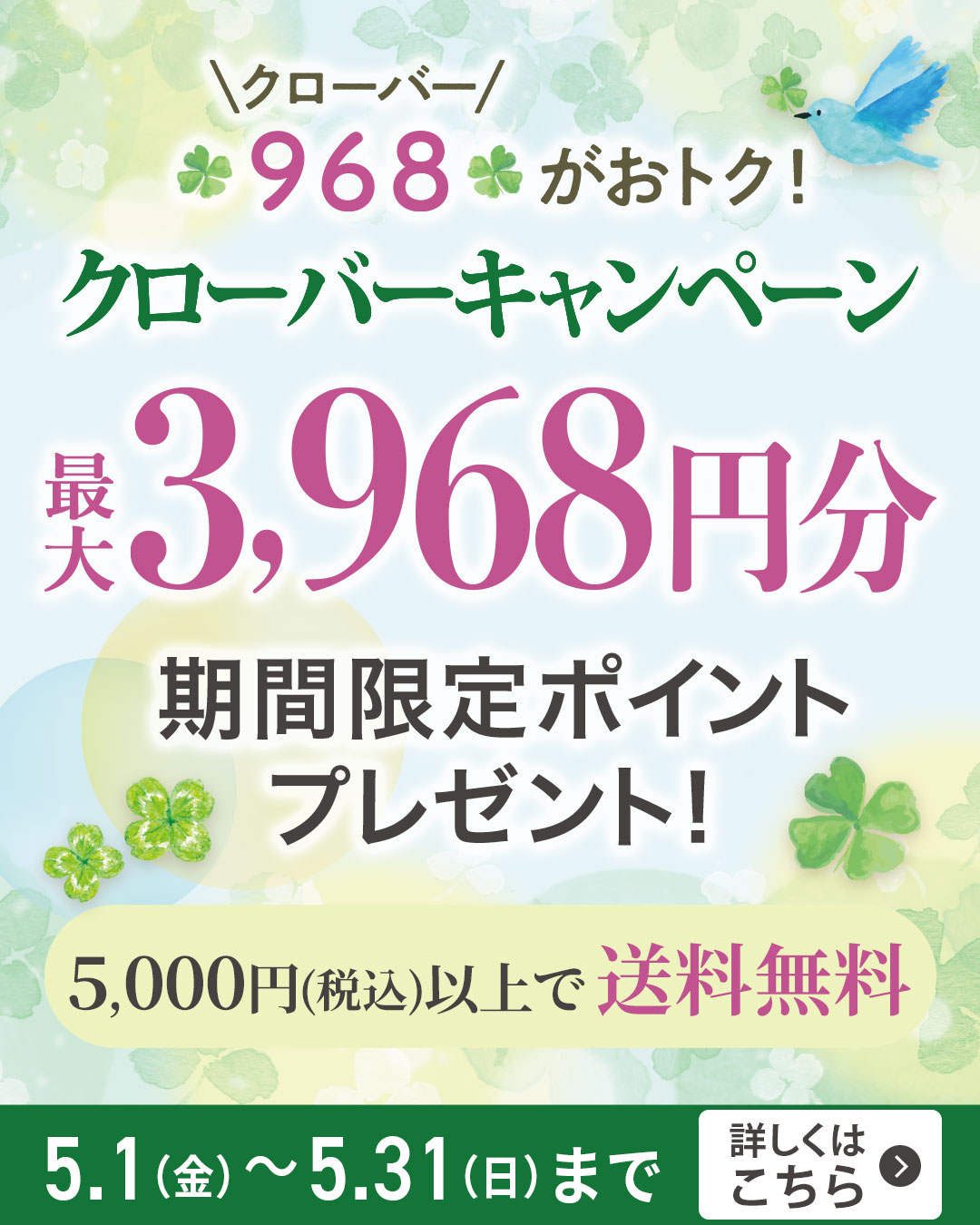 今月のオトクなキャンペーン