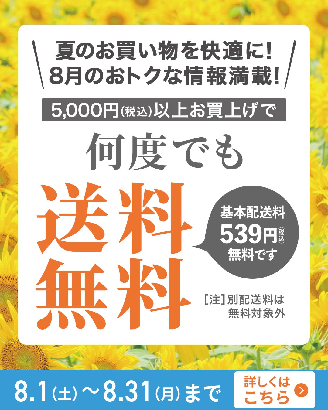 今月のオトクなキャンペーン