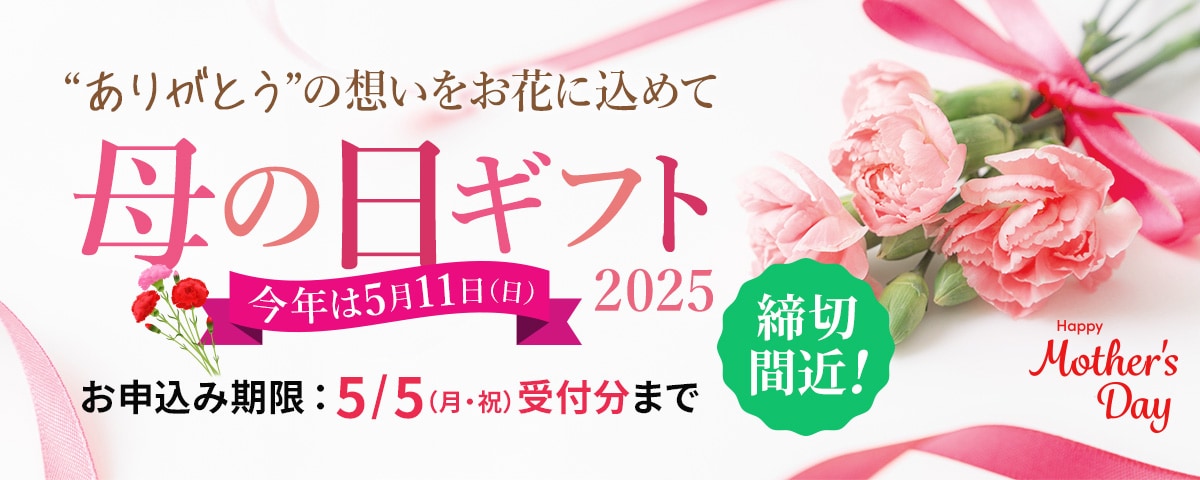 母の日ギフト 2022