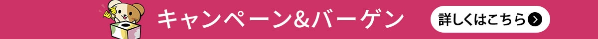 プレゼント＆キャンペーン情報