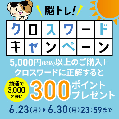 キャンペーン