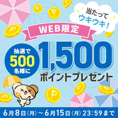 WEB限定キャンペーン