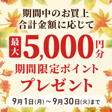 期間限定ポイントプレゼント