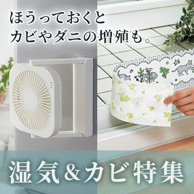 湿気カビ特集