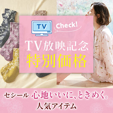 TV放映記念特別価格