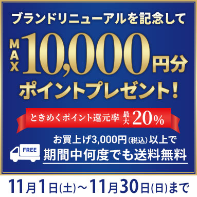 11月のキャンペーン