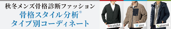 メンズの骨格スタイル分析(骨格診断)