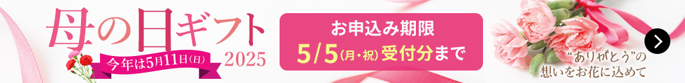 母の日ギフト