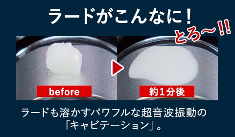 キャビスパ360