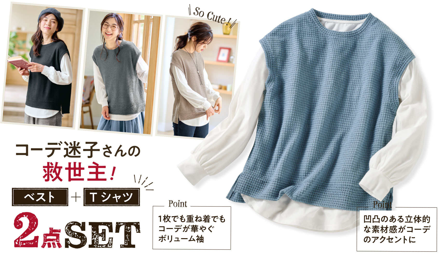 2点セット(ベスト+プルオーバー)