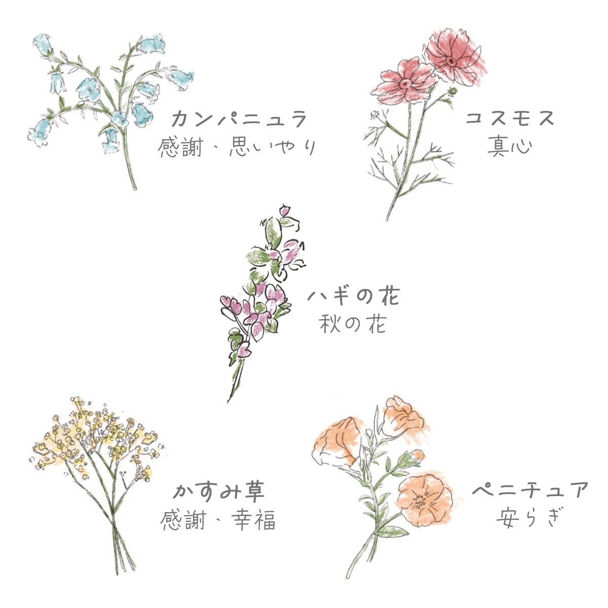 商品説明1