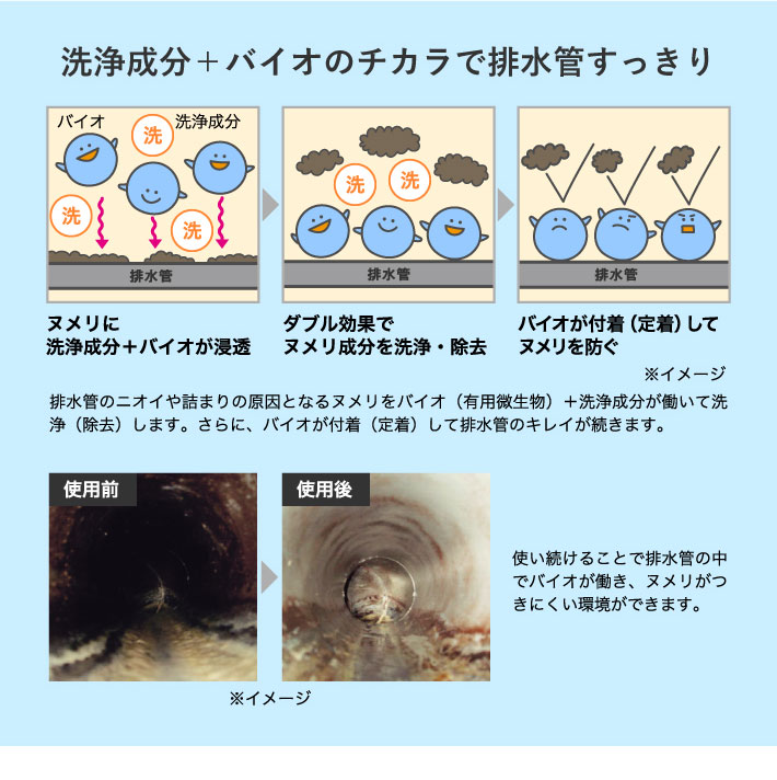 ぬめり撃退 防カビ 排水管バイオ 排水管洗浄液 セシール Cecile