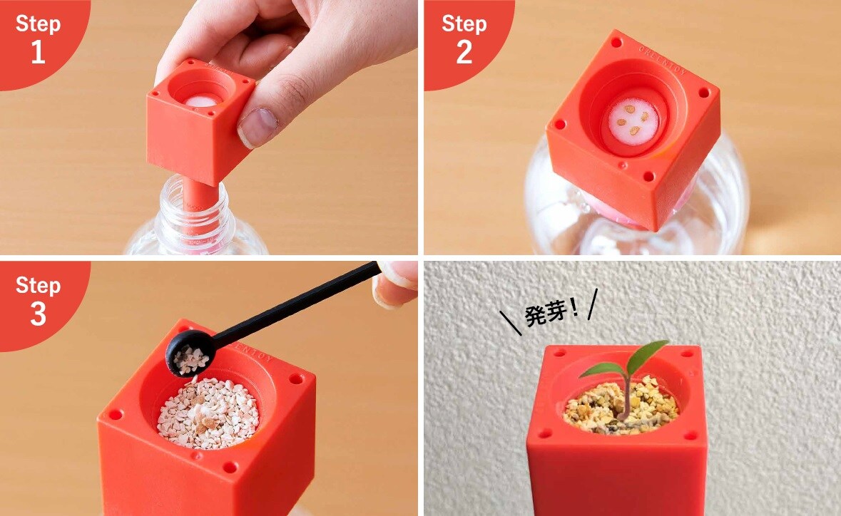ペットボトル水耕栽培用種子 3種セット プチトマト 四季なりイチゴ 枝豆 セシール Cecile