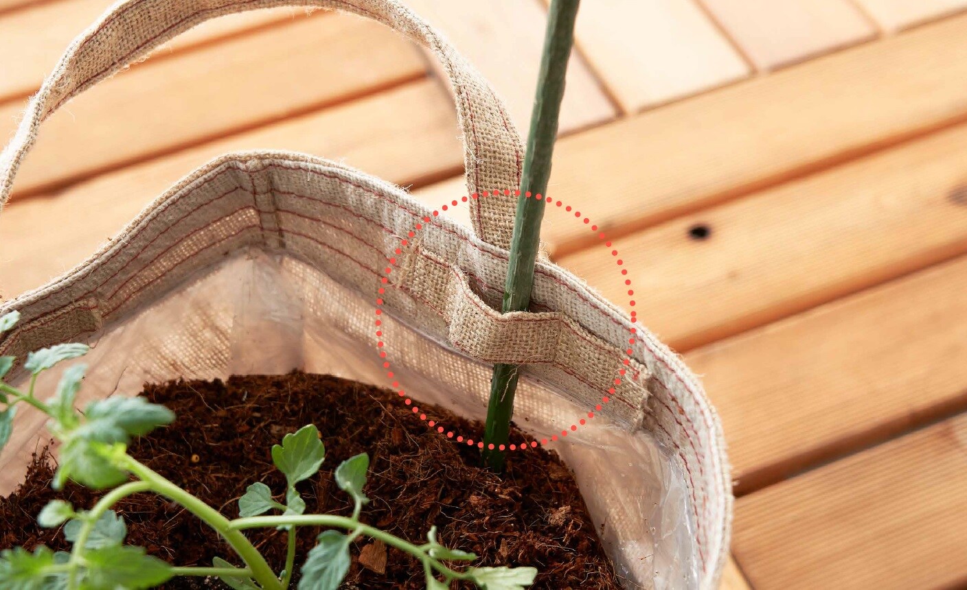 ベジタブルトートバッグ 家庭菜園キット トートバッグ型 セシール Cecile