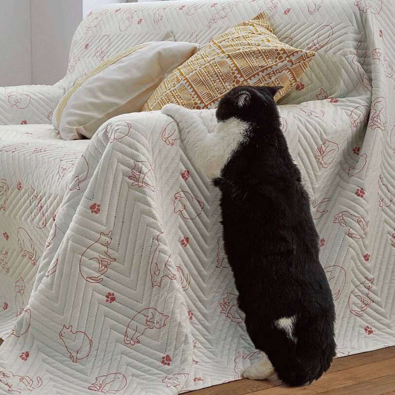 マルチカバー(爪が引っ掛からないタイプ) ペット(ねこ)の爪とぎ防止 ソファの傷汚れ防止 洗濯機で丸洗いOK(ネット使用) セシール