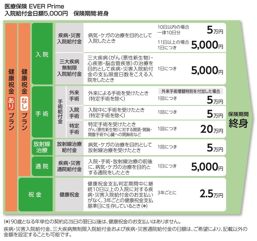 保障内容