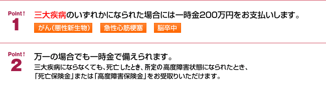 「三大疾病保障プラン」のポイント