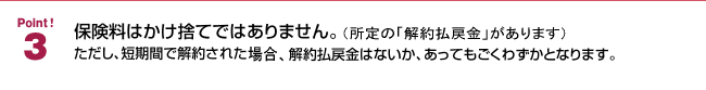 「三大疾病保障プラン」のポイント