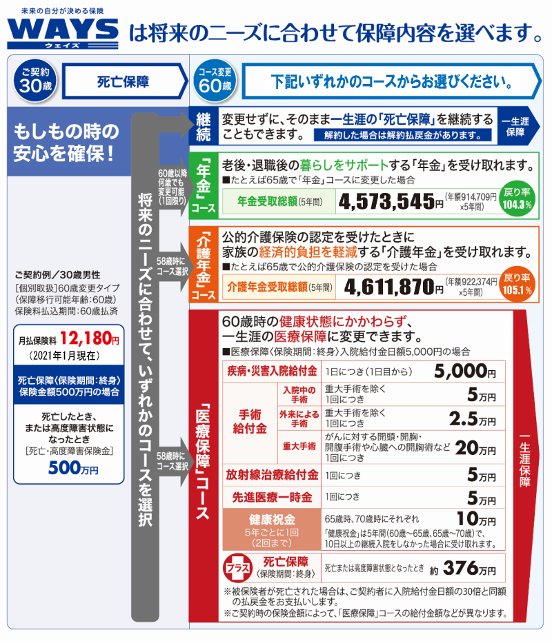 未来 の 自分 が 決める 保険 ways