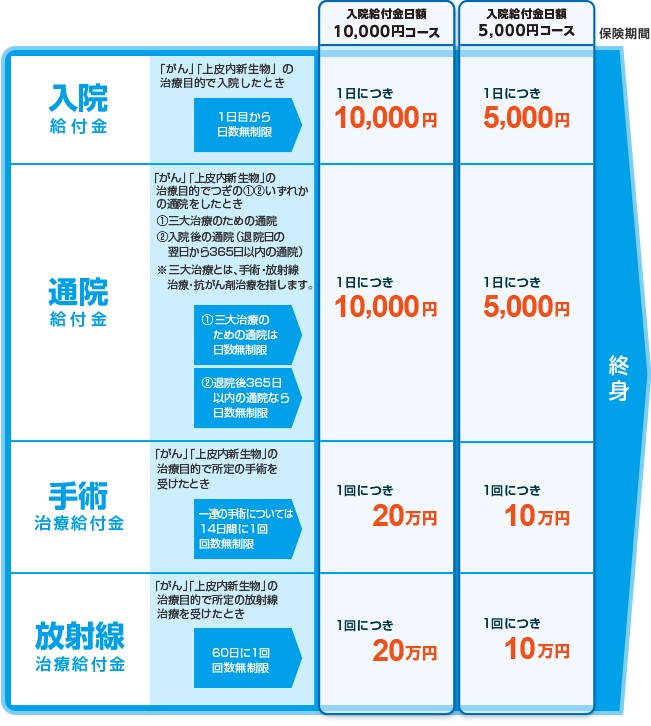 「生きるためのがん保険 寄りそうDays」の基本保障内容