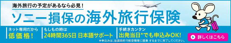 ソニー損保の海外旅行保険