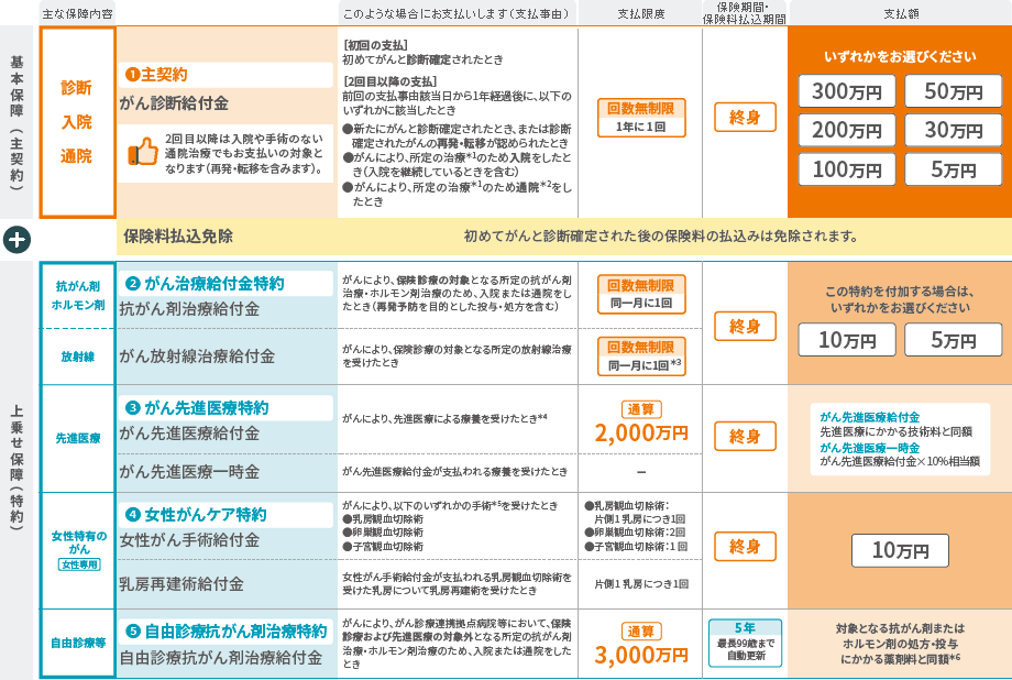 保障内容