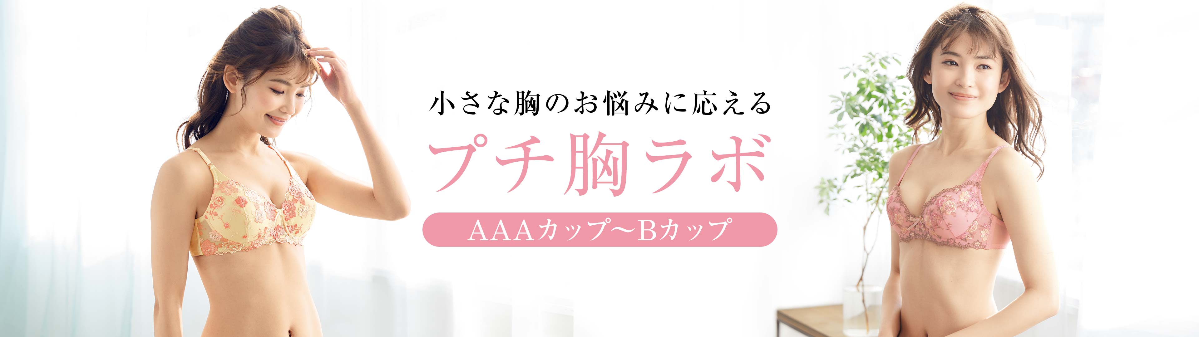 Aカップ以下の小さい胸にも プチ胸ラボ セシール Cecile